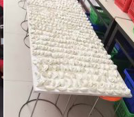 冬至來臨，公司員工一起來包＂扁食＂